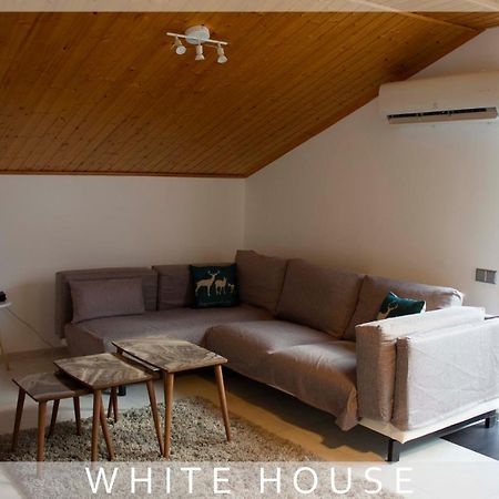 ティビリシ White Houseヴィラ エクステリア 写真