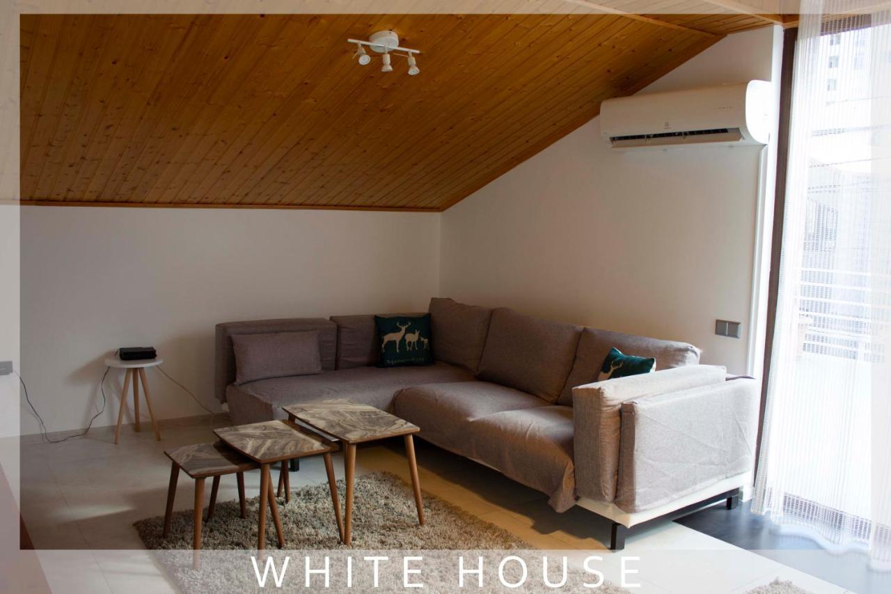 ティビリシ White Houseヴィラ エクステリア 写真