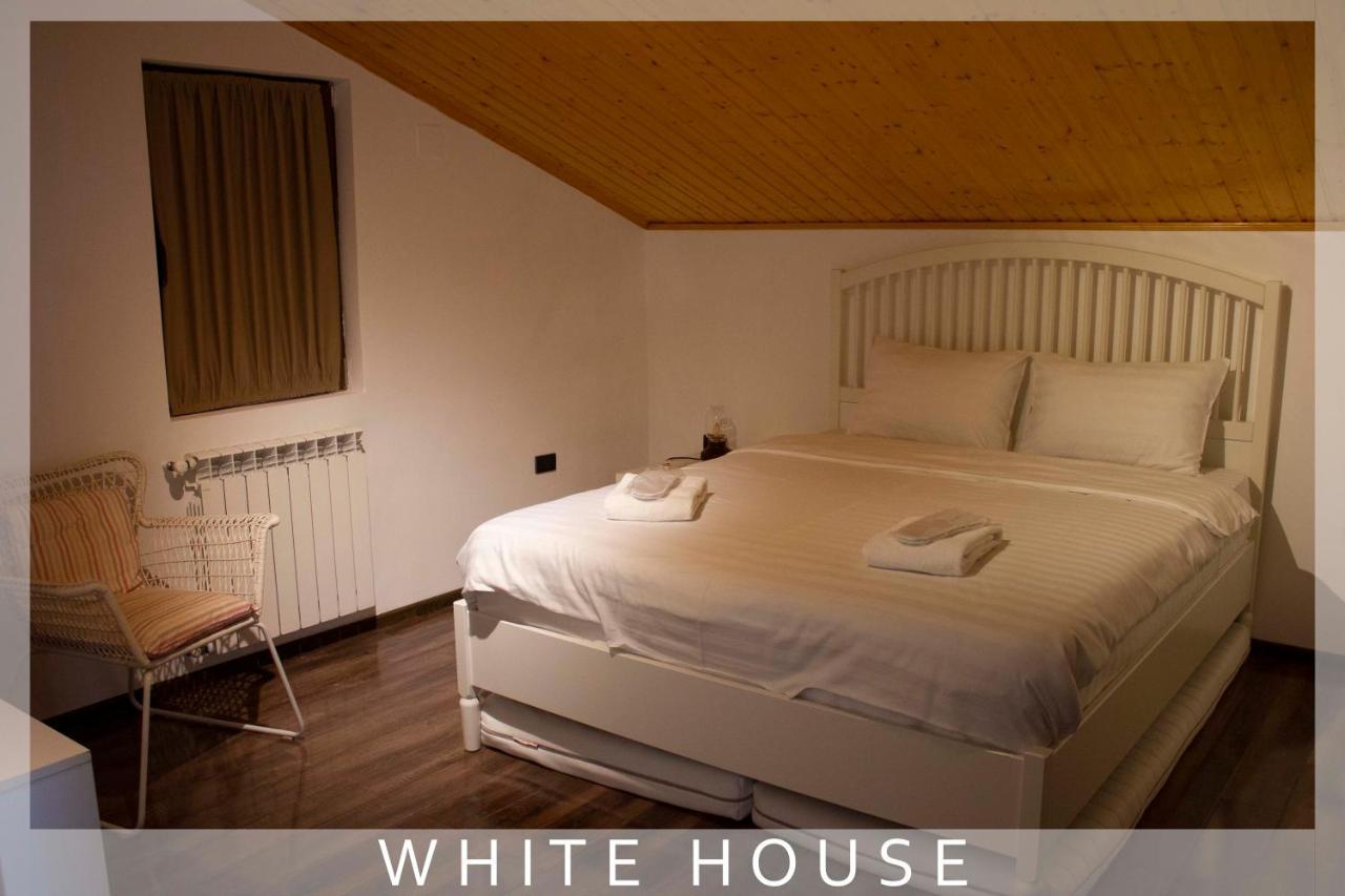 ティビリシ White Houseヴィラ エクステリア 写真