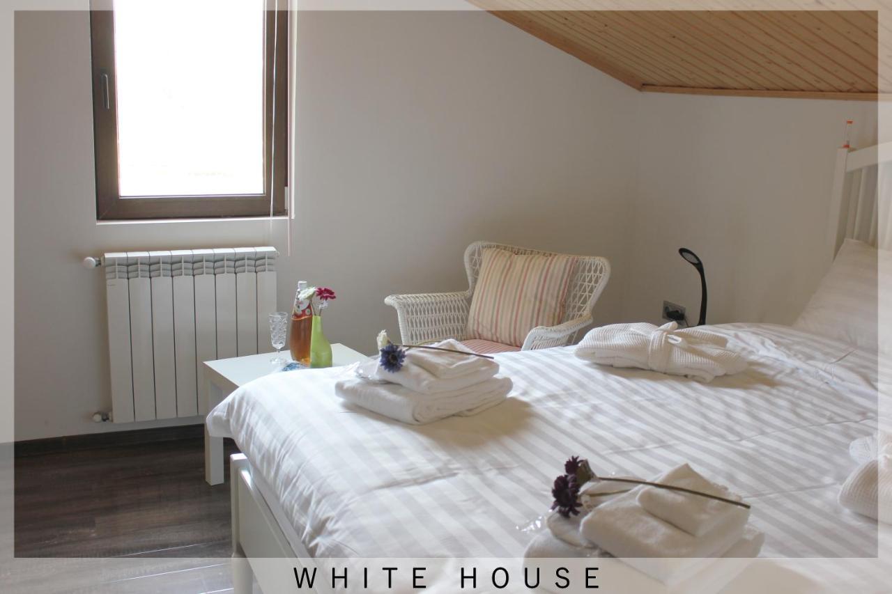 ティビリシ White Houseヴィラ エクステリア 写真